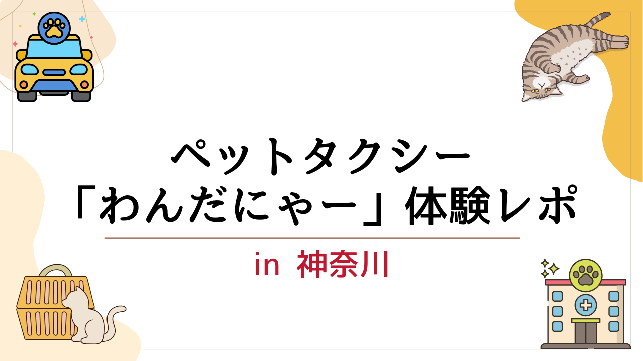 神奈川県でペットタクシー「わんだにゃー」を利用した通院体験レポートのアイキャッチ画像
